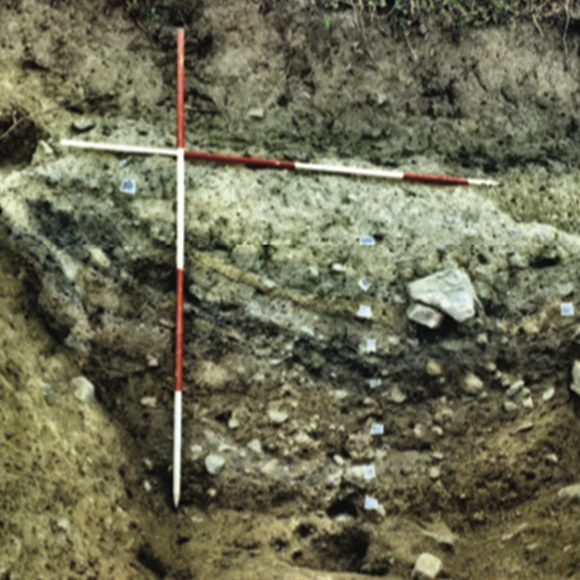 Woodstown Enclosure Ditch