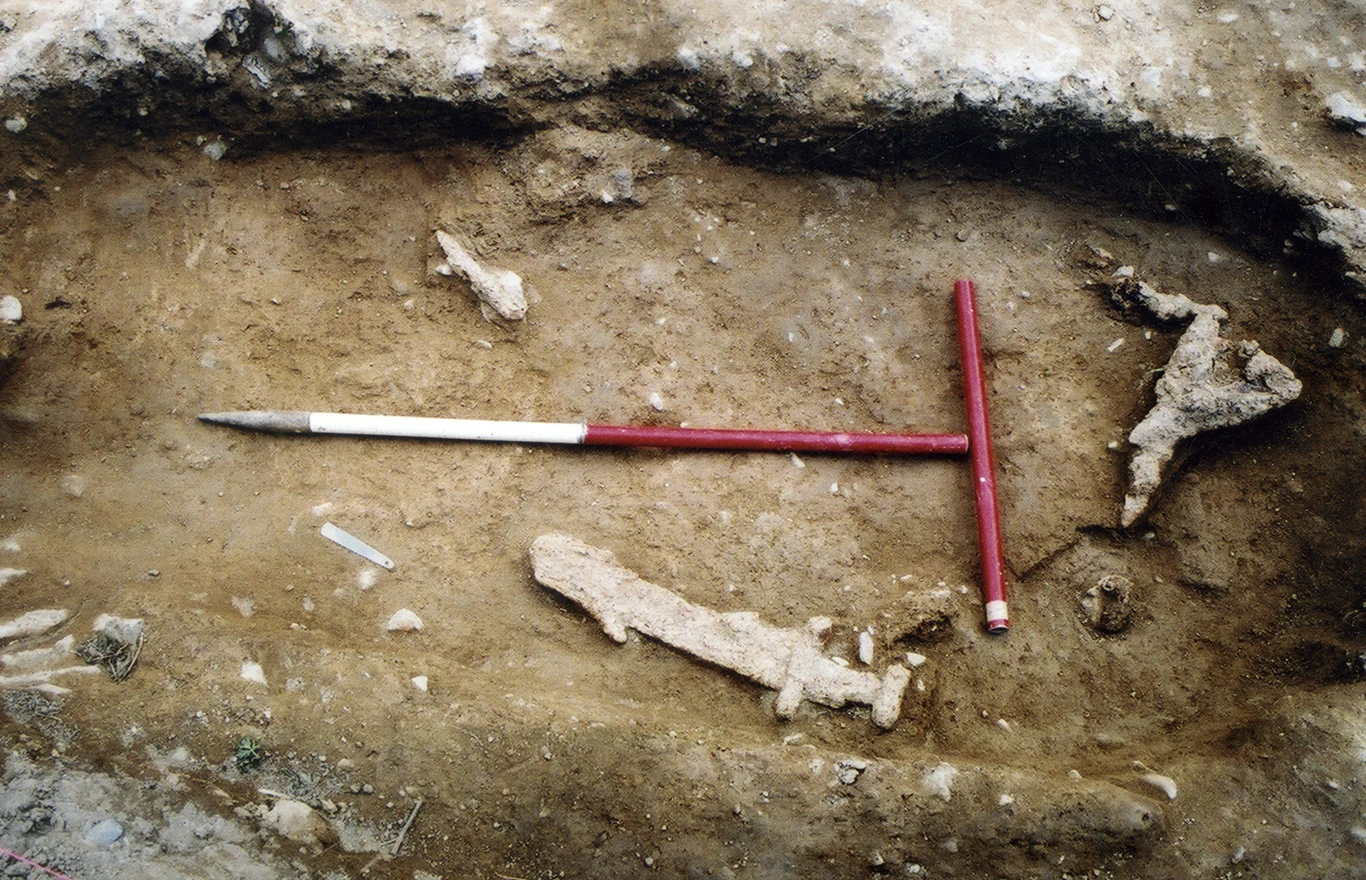 Viking grave at Woodstown under excavation